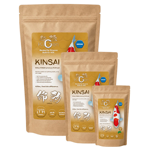 Kinsai